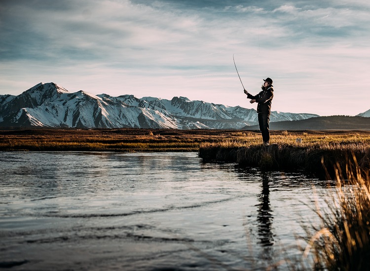 The Ultimate Guide to Fly Fishing Reels Everything You Need to Know