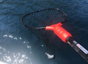 The Ultimate Guide to Choosing the Right Landing Net Pole for Your Fishing Needs