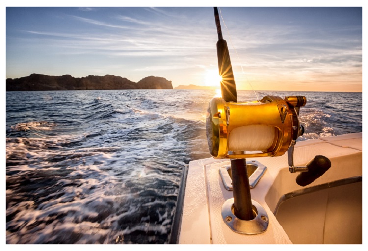Choosing the Right Sea Fishing Reel for Your Skill Level and Budget