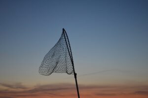 The Ultimate Guide to Choosing the Perfect Carp Landing Net