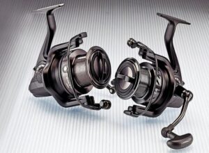 The Ultimate Guide to Choosing a Daiwa Black Widow for Your Next Fishing Trip