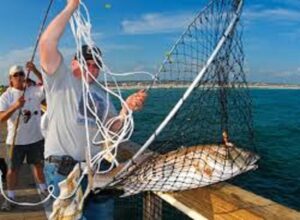 Get Hooked: How to Choose the Best Carp Landing Net for Your Fishing Needs