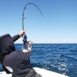 The Top 5 Features of a High-Quality Sea Fishing Rod