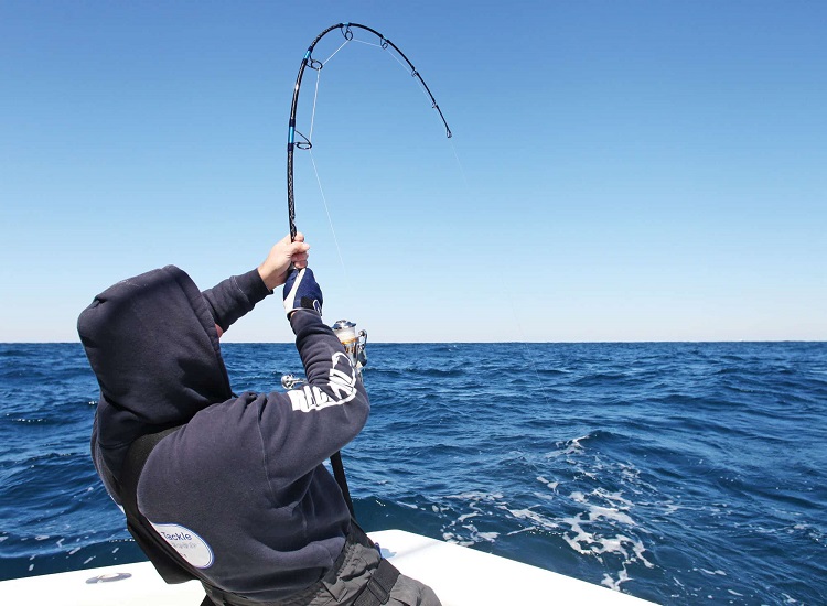 The Top 5 Features of a High-quality Sea Fishing Rod