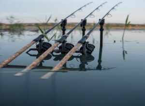 Casting Far and Wide: Exploring the Benefits of 10ft Carp Rods