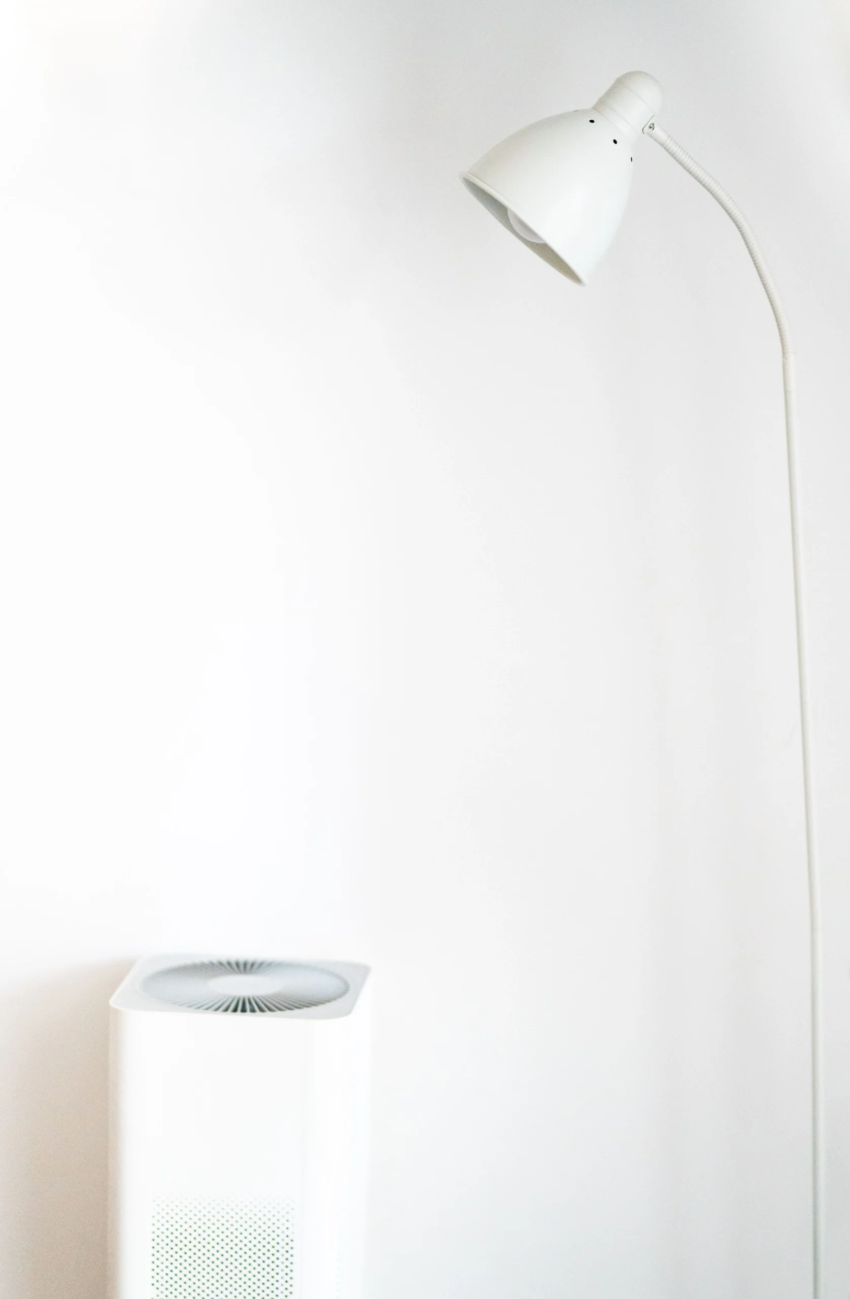 minimalist room with air purifier and floor lamp