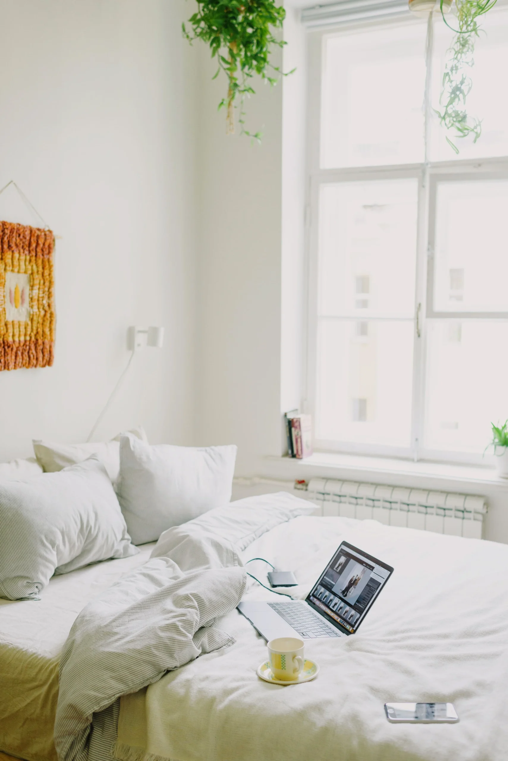 cozy bedroom with fabric window treatment and natural light